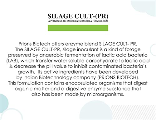 best silage culture