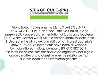 best silage culture