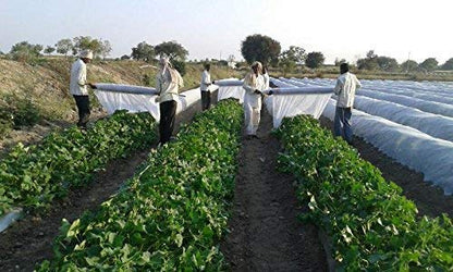 सिद्धि फसल आवरण