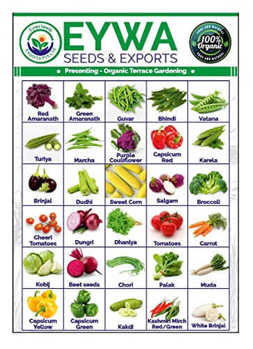 EYWA - Vegitable seeds for terrace gardening (Home Gardening) 30 varieties of Different Seeds (Combo 1)