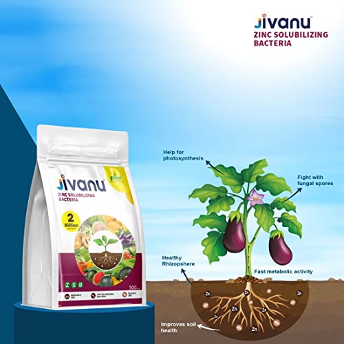 Jivanu Zinc Solubilizing Bacteria Bio Fertilizer - ZSB for All Plants and Home Garden Eco-Friendly (500 Gram)