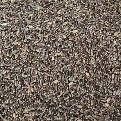 Black Wheat Flour,Naturaly Grown, Anti-Oxidant, Low Gluten,Rich in Micro-nutrients, High Dietary Fiber & Protien(500 Grams)