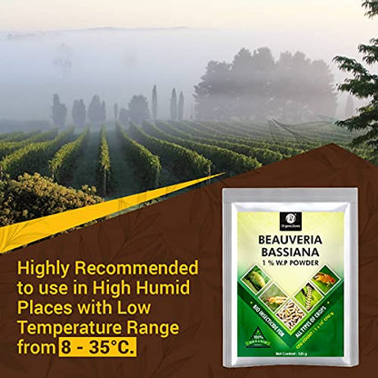 Tired of Pests Attacking Your Growing Crops? Discover OrganicDews Beauveria Bassiana!