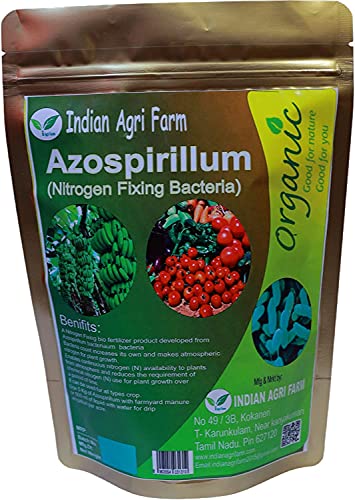 Azospirillum 500 GMS