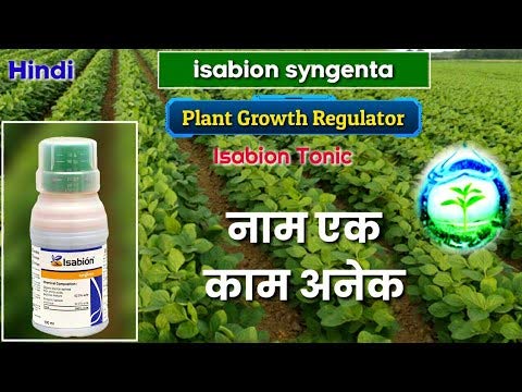 इसाबियन प्लांट टॉनिक 