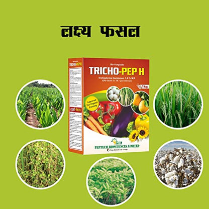 ट्राइकोडर्मा हार्ज़ियानम_ ट्राइको पेप एच (2KG) | जैव कवकनाशी