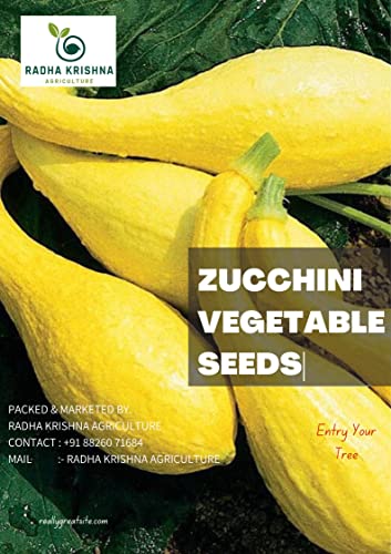 Radha Krishna Agriculture® Zucchini Vegetable Seeds | Yellow Zucchini Seed For Your Home Garden Pack of 25 Gram Seeds
