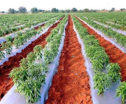 PRUTHAA Agriculture Mulching Sheet/Paper 400 Meter Length- 4 Feet Width (25 Micron)