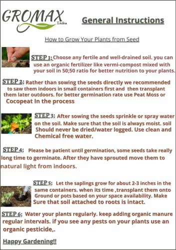 How to grow watermelons in kitchen garden