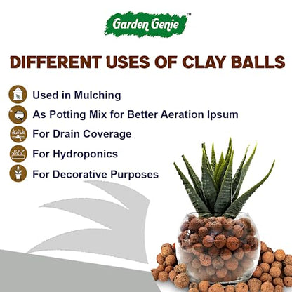 Garden Genie Organic Root Power Liquid VAM Fertilizer (100ml), General Hydroponics Nutrients A&B (250 ml Each) & Clay Balls for plants (900g) - Aeroponics, Agriculture, Aquaponics & Hydroponic Systems