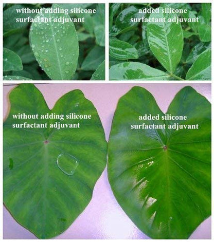 effect of silicon surfanctant on spreading