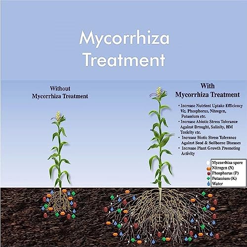 PREPLE VAM Mycorrhiza Bio-Fertilizer for Root Growth Booster Care of your Garden and Plants (30 gm)