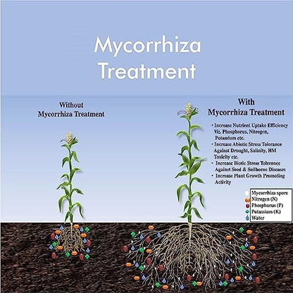 PREPLE VAM Mycorrhiza Bio-Fertilizer for Root Growth Booster Care of your Garden and Plants (30 gm)
