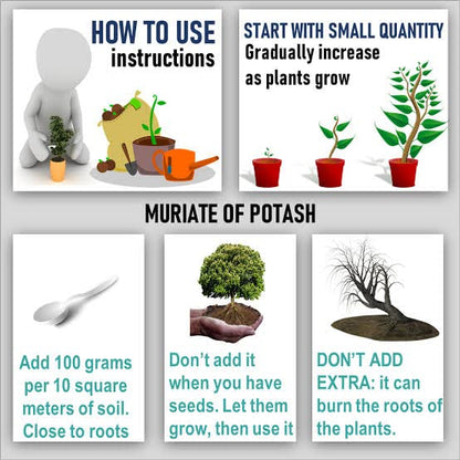 SDF INDIA Organic Potash Essential Grenual Fertilizer for Gardening (1KG)