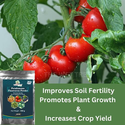 THE WET TREE Pseudomonas Fluorescens Powder | Bio Fungicide for Seeds & Home Garden Plants | Against Root Rot, Stem Rot, Wilt & Fungal Dieases (250 GM)