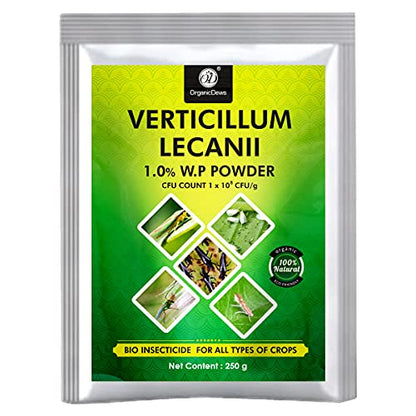 OrganicDews Verticillium lecanii (1x10^8 CFU/g) (250 g) for Plants - Against Sucking Insects Like Aphids, Thrips and Whiteflies 250 g