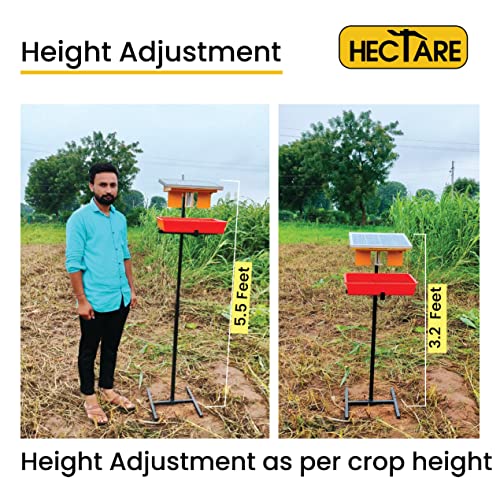 HECTARE Jumbo Automatic Solar UV Light, Li-Ion Battery and Tray Insect Trap with 10 watt Solar Panel for Pest Collection, Yellow