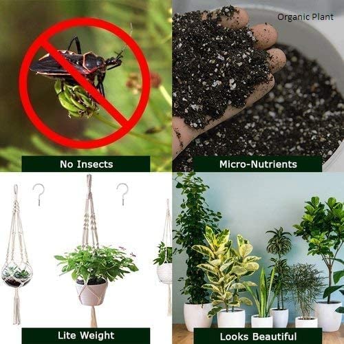 SDF INDIA Mixs Potting Soil for All Types of Plants 5kg