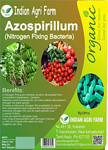 Azospirillum 500 GMS