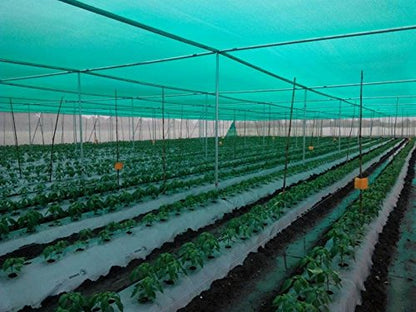 green shade net