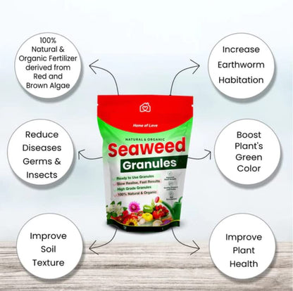 Seaweed Granules Organic Booster, Plant Growth Promoter & Bio-Stimulant (5 KG)