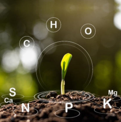 Plant Cow Dung fertilizers for Plants, Cow Dung Manure for Plants, Cow Manure for Plants, Cow Manure for Home Gardening, Cow Dung Compost for Plants (50 kg)