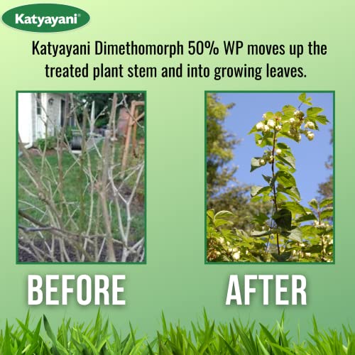 Katyayani Dimethomorph 50% WP Systemic Fungicide for Effective Control of Late Blight Disease (200 Gram)