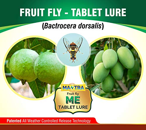 MANTRA ME Fruit Fly Tablet Lure (10)