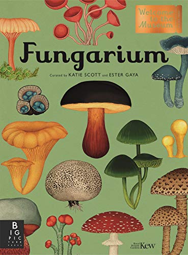 Fungarium (Welcome To The Museum)
