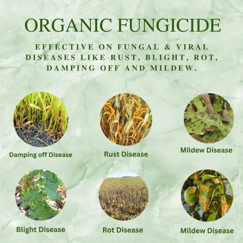 Katyayani All in 1 Organic Fungicide for Plants Flower Vegetable Mildew Rust Blight Disease Control 100 Gram Powder Pack of 1