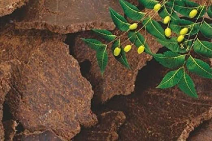गार्डेनिका - नीम तेल - प्राकृतिक पौधों की देखभाल के लिए जैविक कीटनाशक। (1 लीटर)