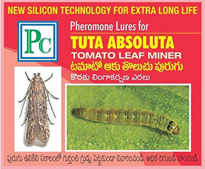 Phero Sensor Tuta Detector Pheromone Trap with Tuta absoluta Tomato Leaf Miner Pheromone Lure (100)