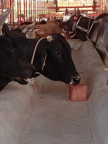 इग्रिफार्म हिमालयन ब्लॉक लिक -1 किलोग्राम - गाय, बकरी और भेड़ के लिए पशु लिक