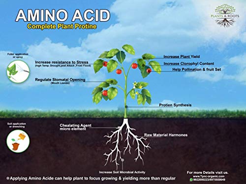 Plants & Root - Amino Liquid/Complete Plant Nutrition/Organic Plant Food/Farming Pack -(1000 ml)