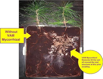 PREPLE VAM Mycorrhiza Bio-Fertilizer for Root Growth Booster Care of your Garden and Plants (30 gm)