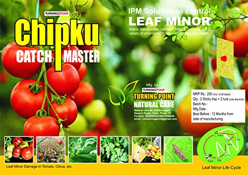 chipku catch master tomato leaf miner pheromone lure