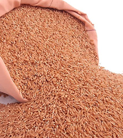 RANMEVA Way Back to the Origin Emmer-Khapli Wheat 10 kg (Ancient Grain)