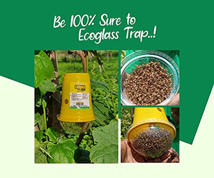Chipku Bactocera Dorsalis Fruit Fly Outdoor Eco Pheromone Trap with Lure Useful in Mango, Papaya, Sapota, Guava, Pomegranate, Sweet Fruit - Pack of 50 Yellow