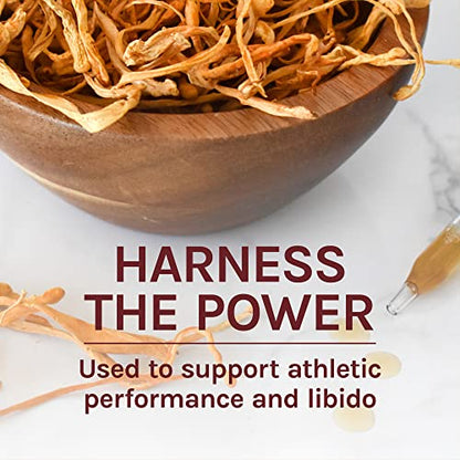 Host Defense - Cordyceps Extract, Mushroom Support for Energy, 60 Servings (2 oz)