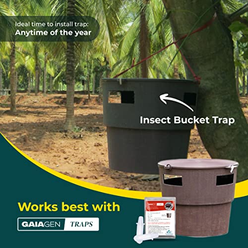 Gaiagen's Rhinoceros Beetle Lure: पाम ट्री विनाश विरुद्ध तुमची नैसर्गिक ढाल!