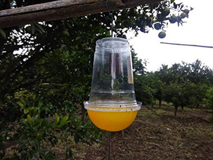 Green Revolution Fruit Fly Trapper (Fruit Fly Pheromone Trap) Complete for one Acre. Pack of 10