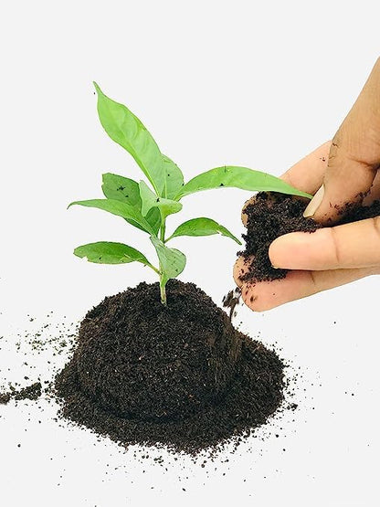 Evergrow Cow Dung Compost Fertilizer Manure for Plants Organic Fertilizer Natural Fresh Plant Garden Cow Compost (Pack of 1 KG)