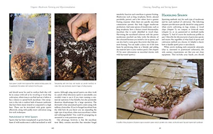 Organic Mushroom Farming and Mycoremediation