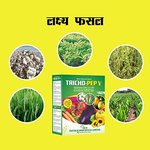 ट्रायकोडर्मा विराइड (1KG) बुरशी वनस्पतींचे अनेक रोग नियंत्रित करते | ट्रायकोडर्मा बायो फंगीसाइड पावडर