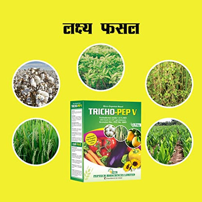 ट्रायकोडर्मा विराइड (1KG) बुरशी वनस्पतींचे अनेक रोग नियंत्रित करते | ट्रायकोडर्मा बायो फंगीसाइड पावडर