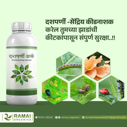 Ramai Dashparni Arka-Protection from pests attack