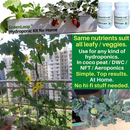 GreenLoop Hydroponic Nutrients– LEAFY200, Hydroponic nutrients, Solid Mixture, Makes 200 Liter hydroponic Solution, Suitable for All Plants & Better Leafies, Complete - Contains Everything