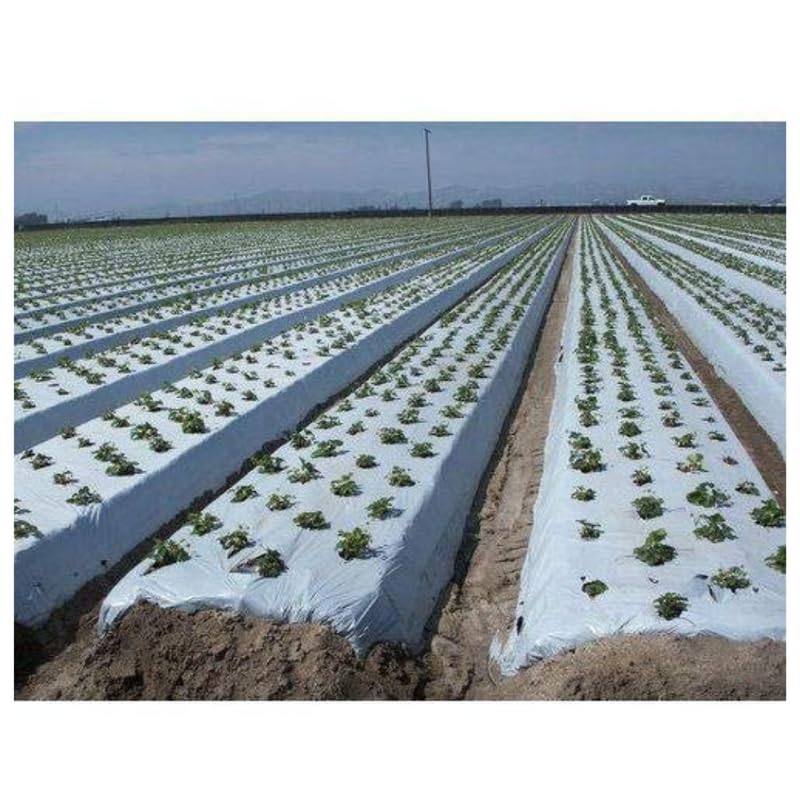 mulching paper price