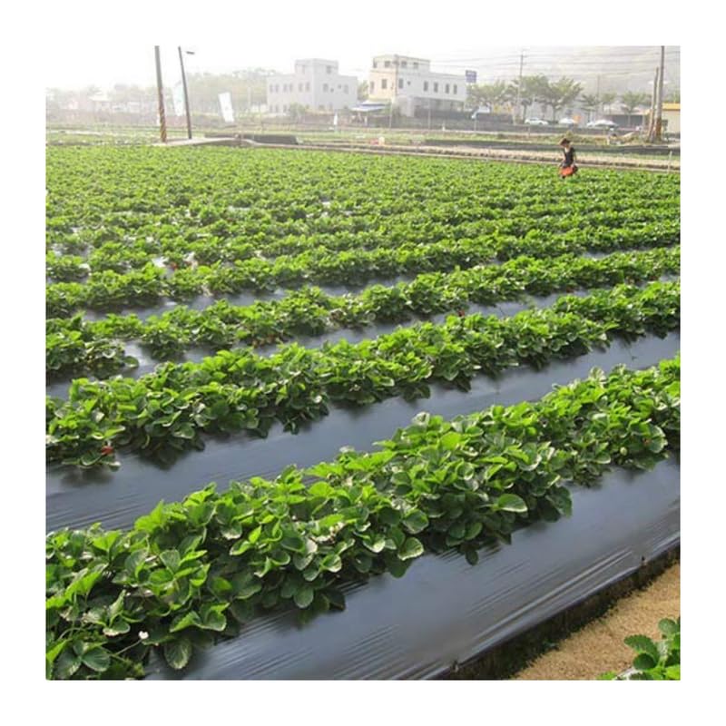 iris mulching price