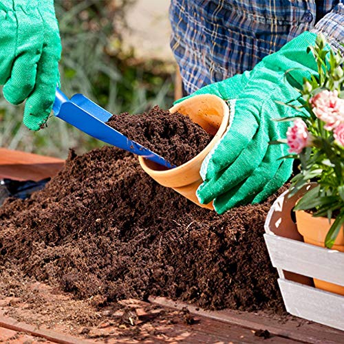 soil culture
